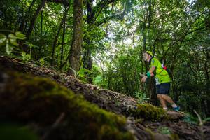 BIB: 
                            <button type="button" onclick="openModal(16009141)" class="btn btn-primary btn-sm float-right btn-popup" data-toggle="modal" data-target=".modal-high-quality">
                        <i class="fas fa-shopping-cart"></i> Add to Cart
                    </button>
                                            <button type="button" onclick="isThisMe(16009141, true)" class="btn btn-success btn-sm float-right btn-popup btn-isme hidden" data-toggle="tooltip" data-placement="bottom" title="นี่คือรูปของคุณใช่ไหม คลิกที่นี่เพื่อเอาเข้าอัลบั้ม">
                        <i class="fas fa-plus"></i> Add to album
                    </button>
                    <button type="button" onclick="isThisMe(16009141, false)" class="btn btn-warning btn-sm float-right btn-popup btn-isnotme hidden">
                        <i class="fas fa-ban"></i> Remove from album
                    </button>